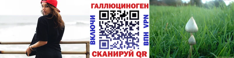 где купить наркотик Собинка Галлюциногенные грибы Psilocybe